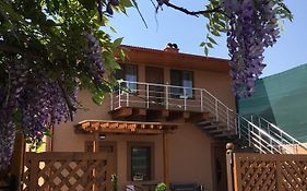Holiday House